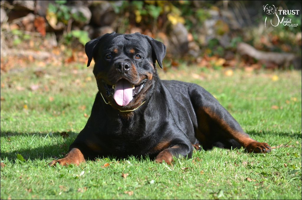 Trust Vom Hause Matterhorn