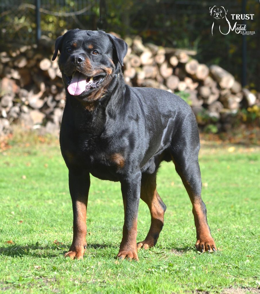 Trust Vom Hause Matterhorn