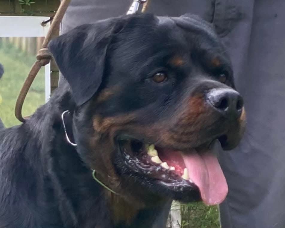 Trust Vom Hause Matterhorn