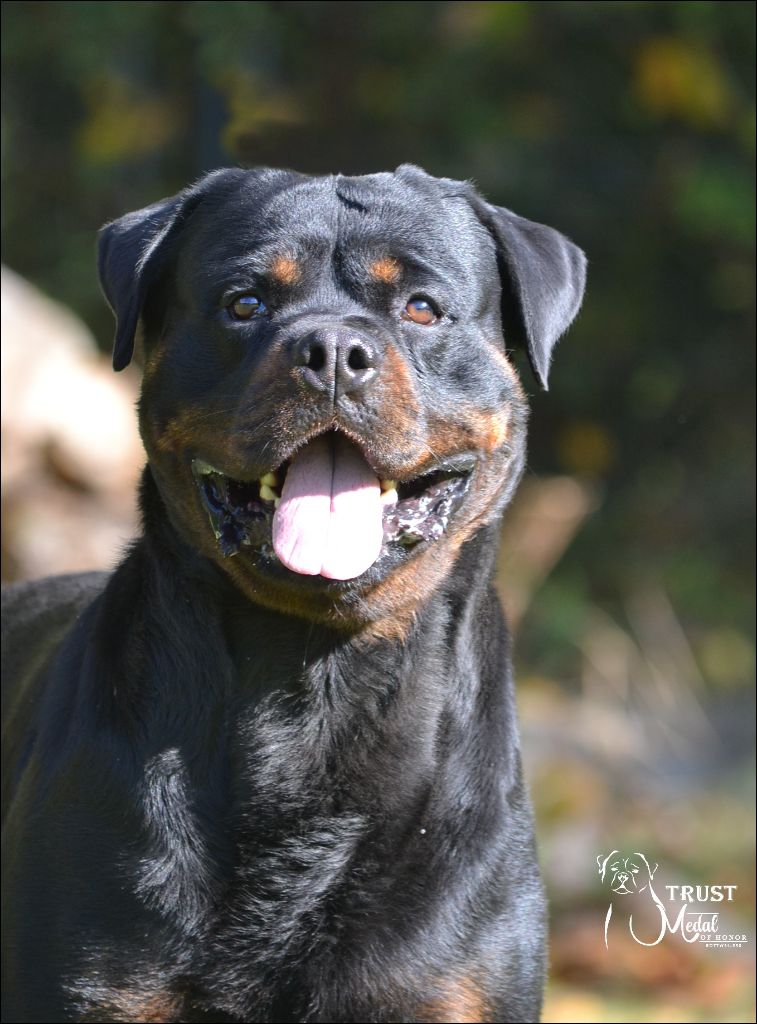 Trust Vom Hause Matterhorn