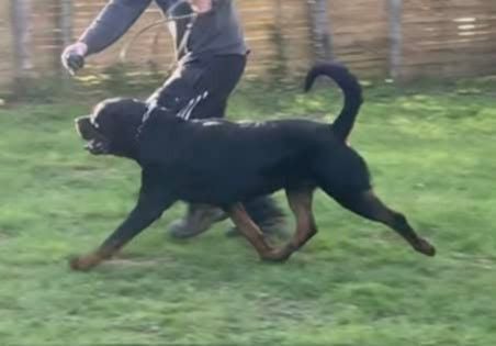 Trust Vom Hause Matterhorn