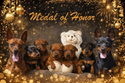 Medal of Honor
