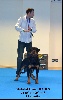 CH. Medal of Honor Hades - CAC / Meilleur de race / Best in Show