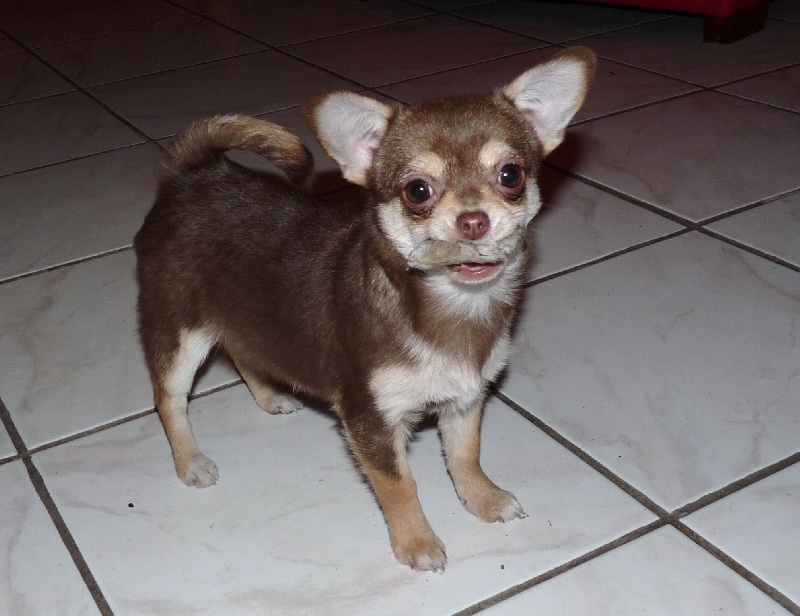 Publication : Achak Des Luminous