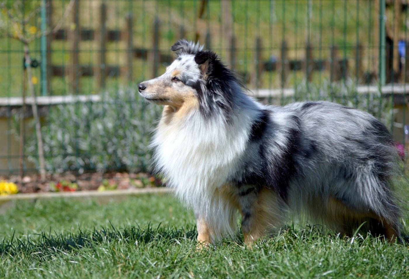 Publication : Du Monde d'Azuven Auteur : MP MOSER