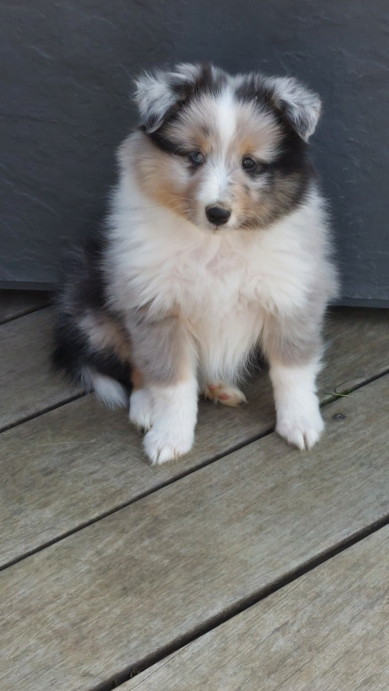 BINGO DU MONDE D'AZUVEN