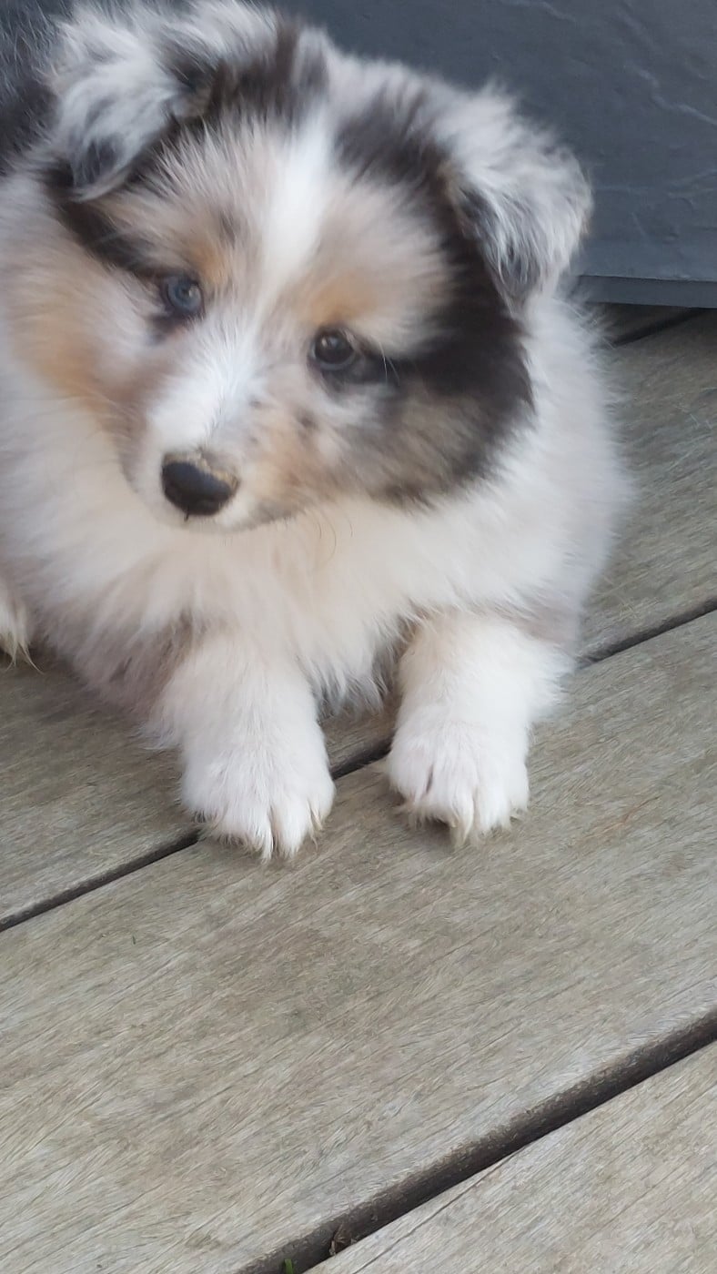 BINGO DU MONDE D'AZUVEN