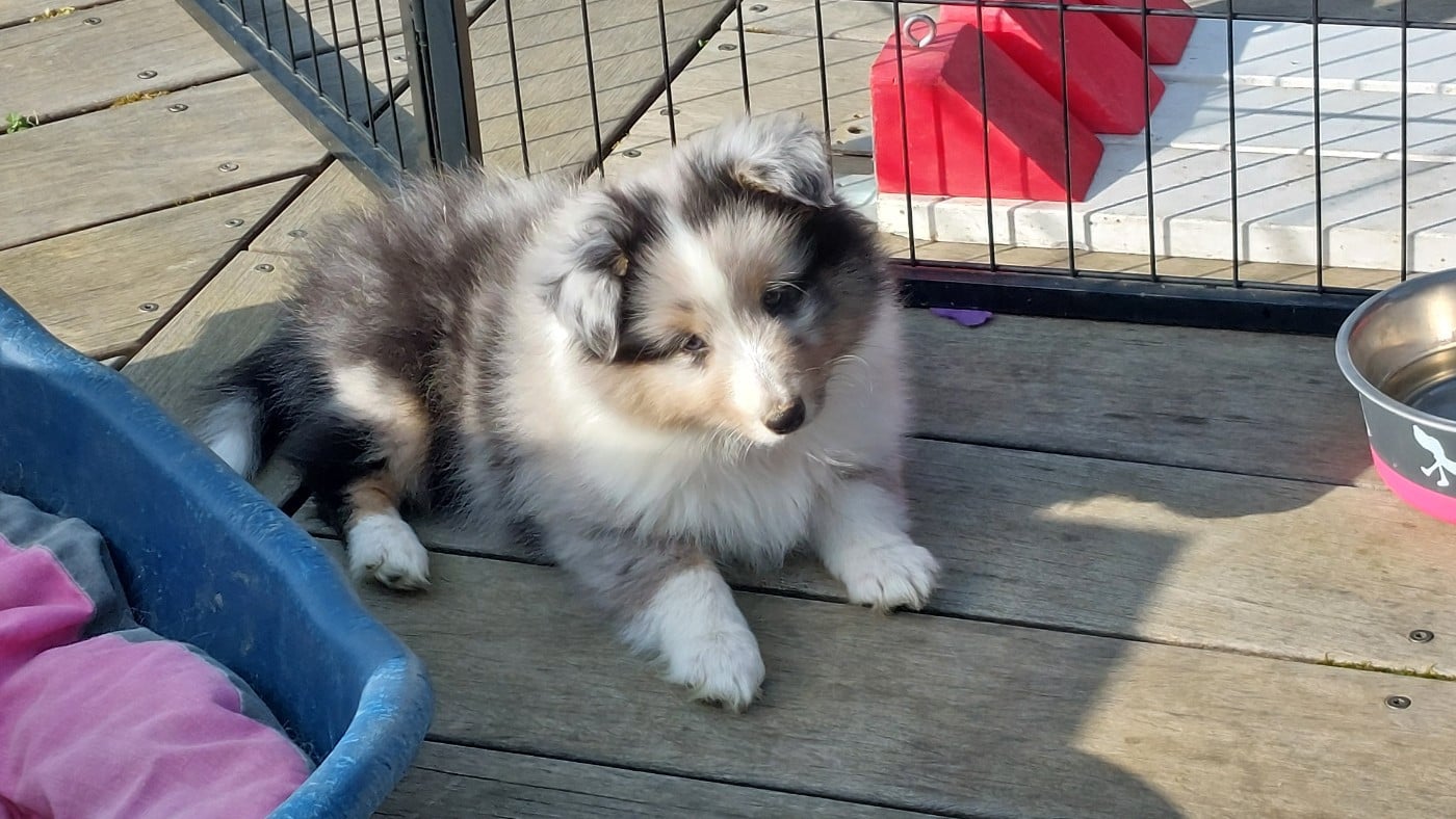 BINGO DU MONDE D'AZUVEN