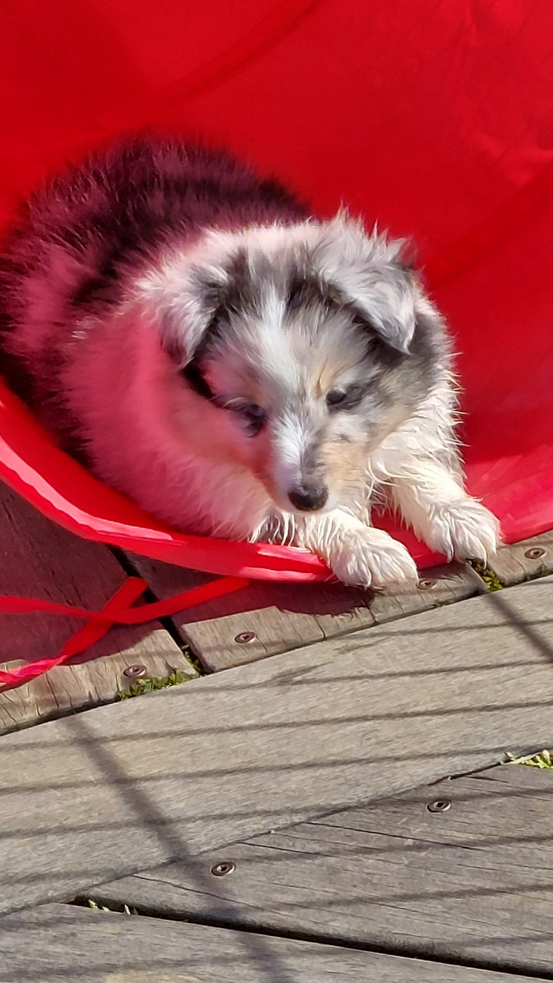 BINGO DU MONDE D'AZUVEN