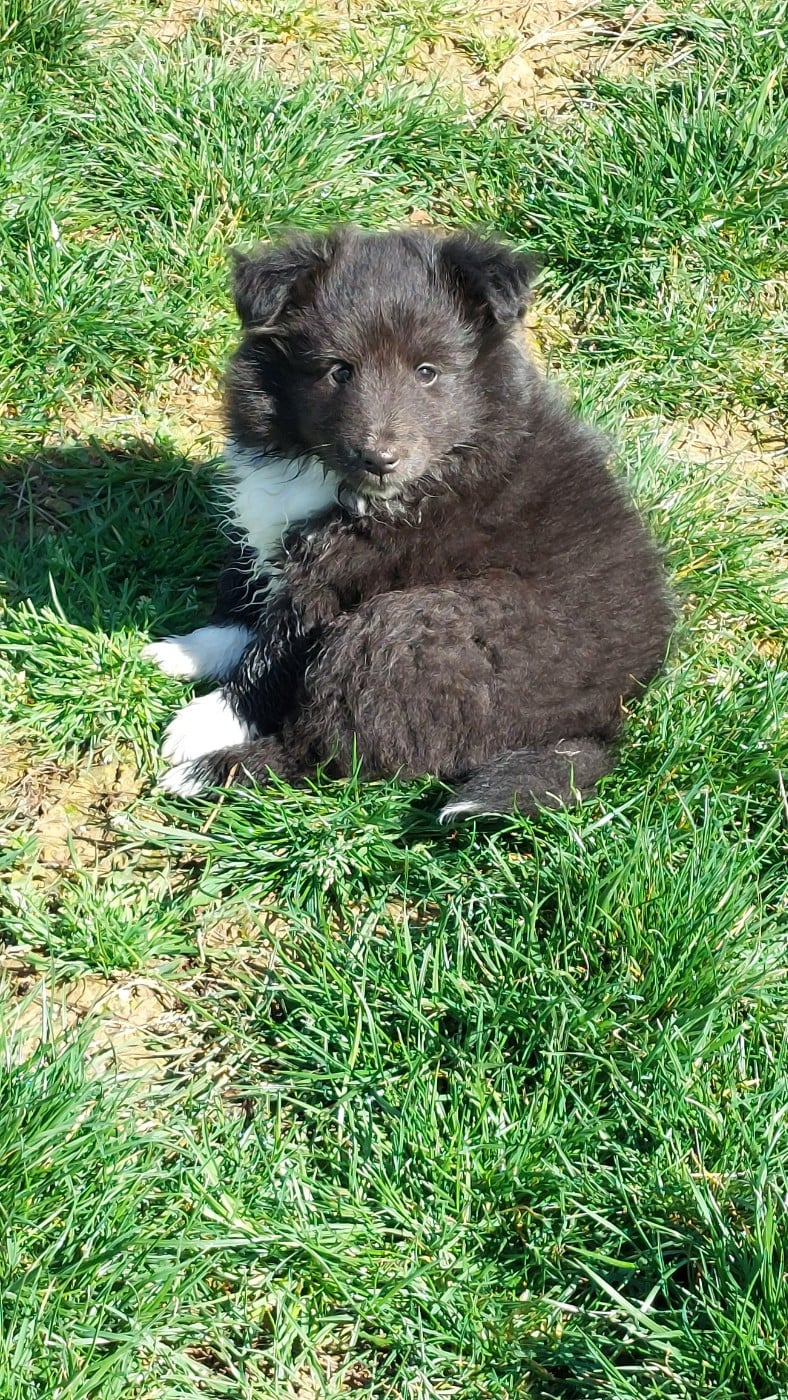 Black Neytiri du Monde d'Azuven