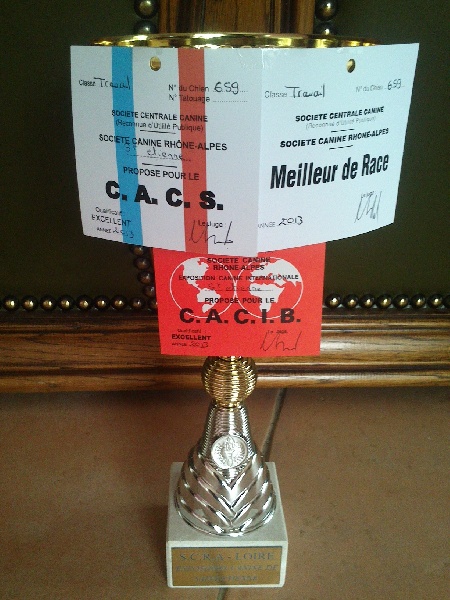 Galys Sources de la hulotte - CACIB