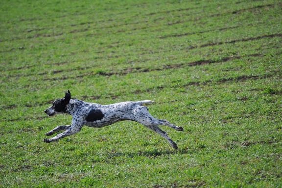 Galys Sources de la hulotte - Eliminé