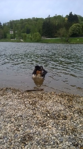 Publication : de l'éclair du diamant Auteur : Mélanie