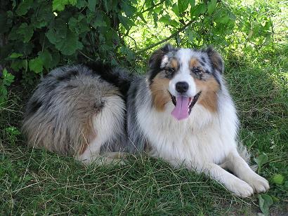 Publication : de l'éclair du diamant