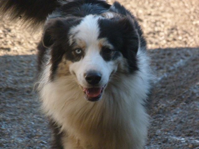 Publication : de l'éclair du diamant Auteur : ALC