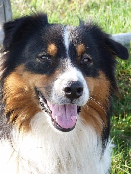 Publication : de l'éclair du diamant Auteur : Mélanie