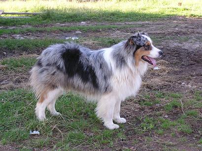Publication : de l'éclair du diamant