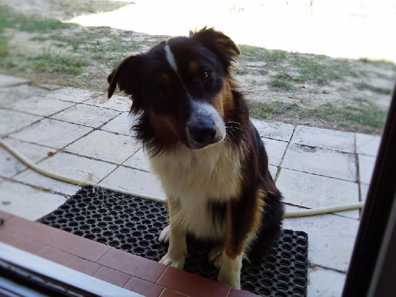 Publication : de l'éclair du diamant Auteur : Mélanie