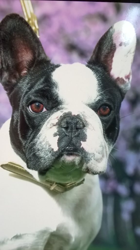 Publication : de la Roubine du Roy Auteur : Ghislaine HAREL