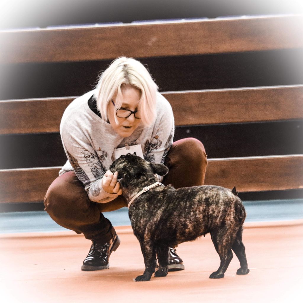 Publication : de la Roubine du Roy Auteur : Ludovic GARCIA