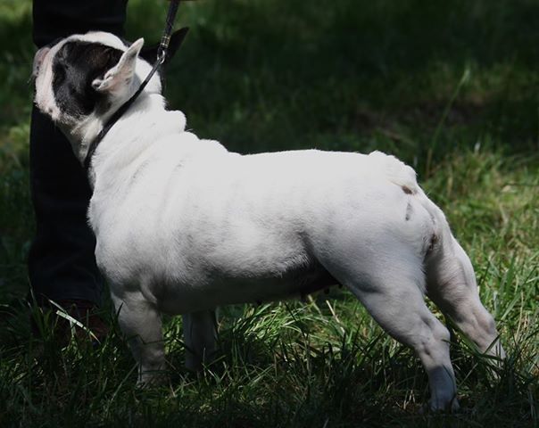 Publication : de la Roubine du Roy Auteur : Ghislaine HAREL