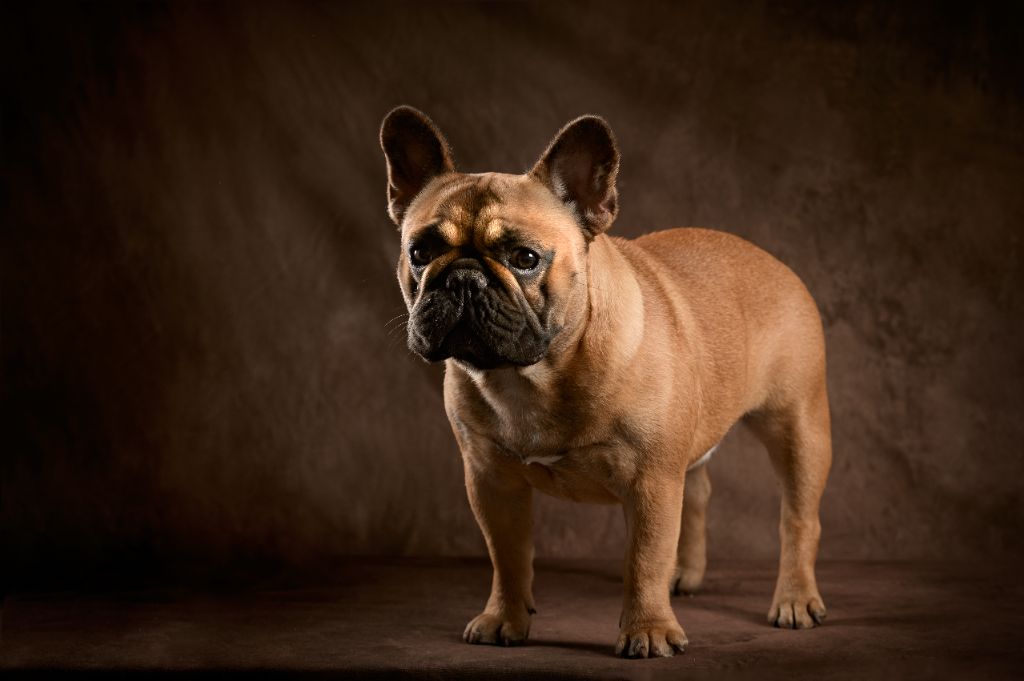 Uguette de la Roubine du Roy