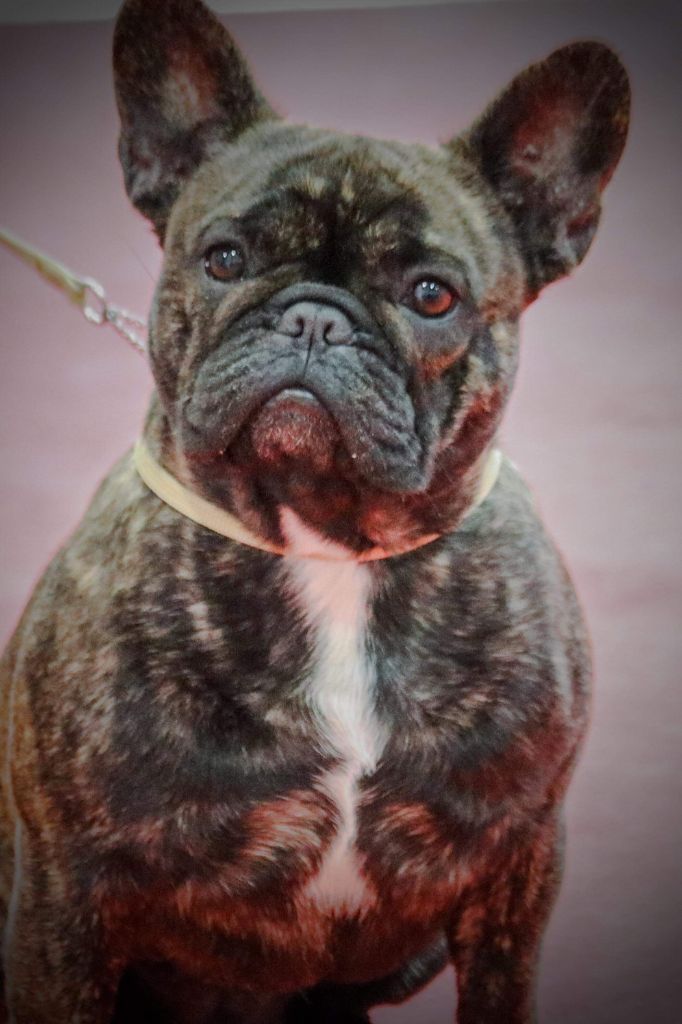 Publication : de la Roubine du Roy Auteur : Ludovic GARCIA