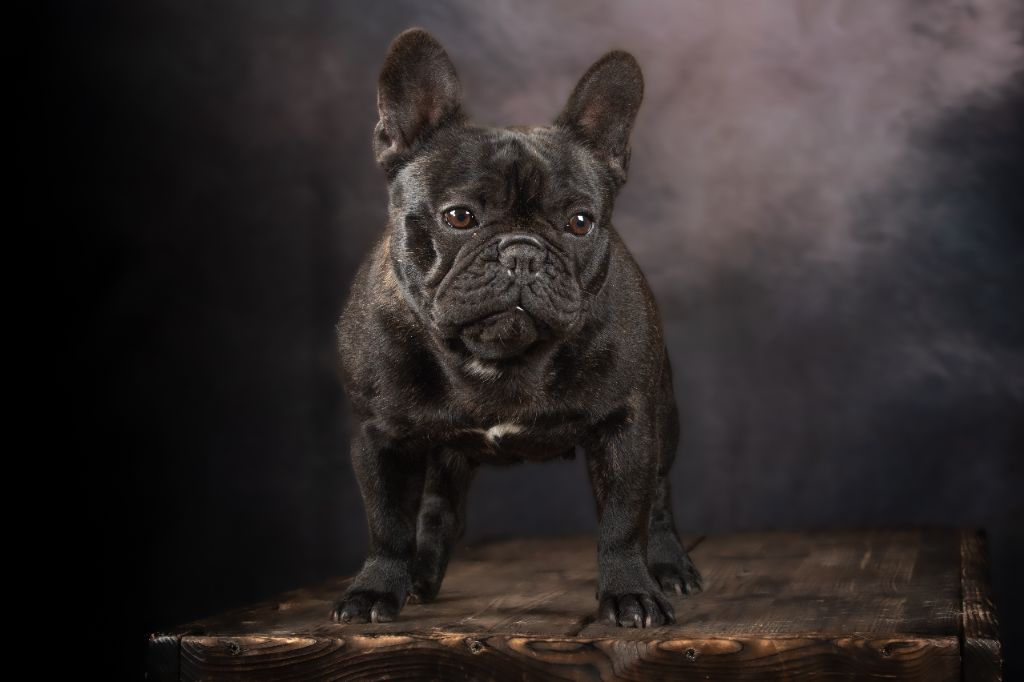 Rita mitsouko de la Roubine du Roy