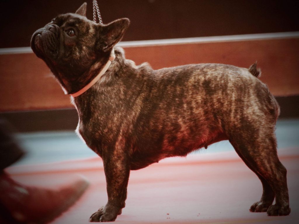 Publication : de la Roubine du Roy Auteur : Ludovic GARCIA