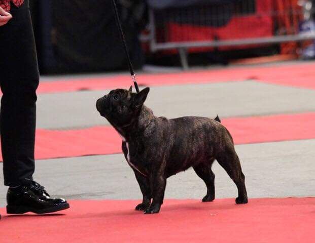 Publication : de la Roubine du Roy Auteur : Ludovic GARCIA