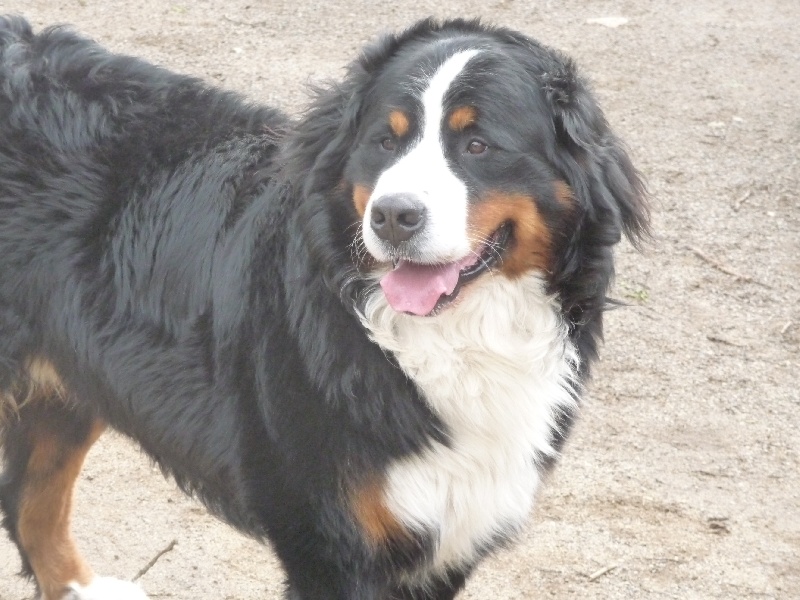 Publication : de la Colline De Sirem Auteur : nathalie