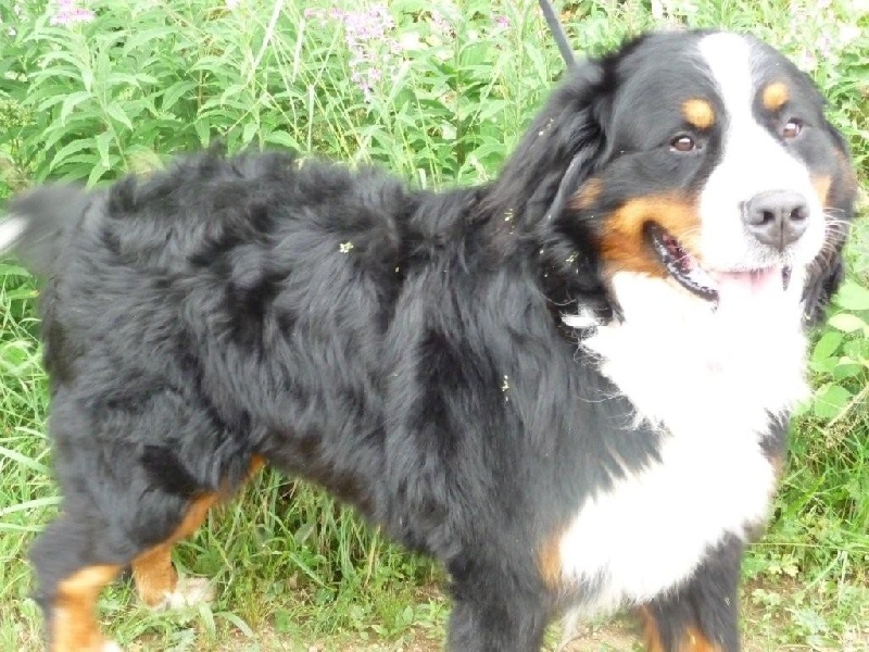 Publication : de la Colline De Sirem Auteur : nathalie