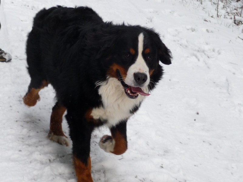Publication : de la Colline De Sirem Auteur : nathalie