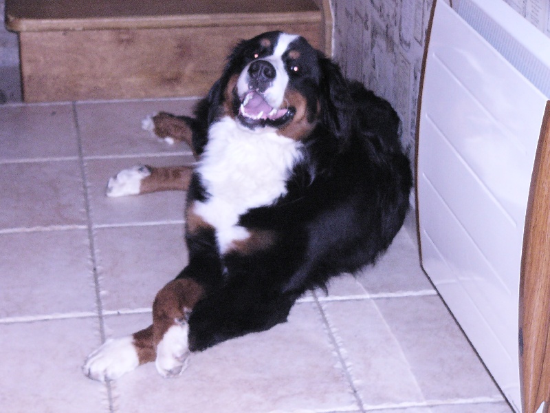 Publication : de la Colline De Sirem Auteur : nathalie