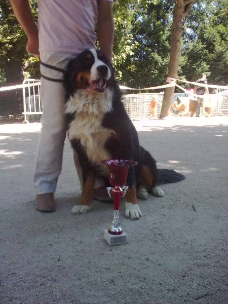 Calypso Des sources du soleil - 2eme excellent+RCACS