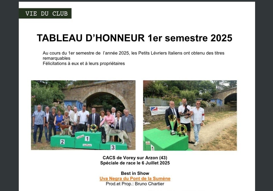 Uva negra Du pont de la sumene