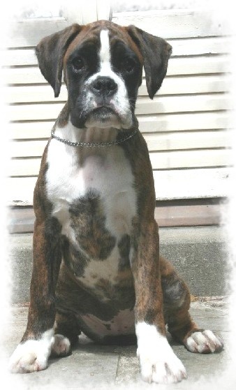 Histoire du Val D'Europe - Très Prometteur - CLASSE BABY