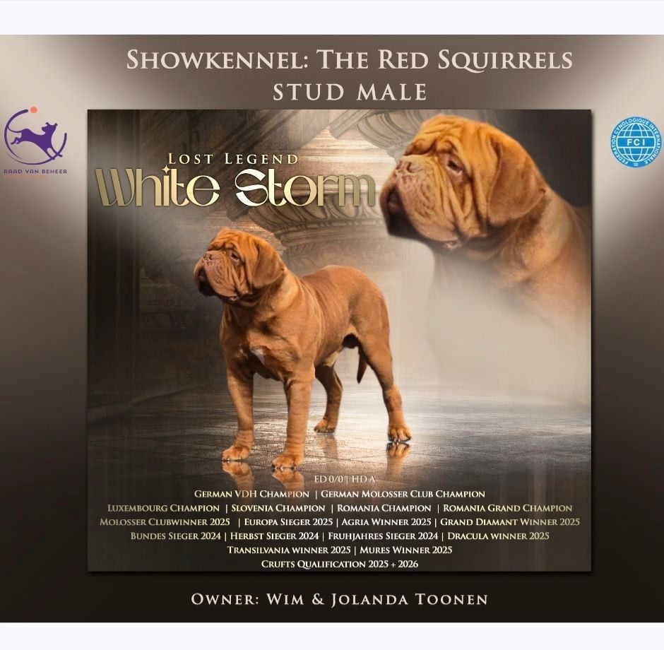 Publication : de l'exigence