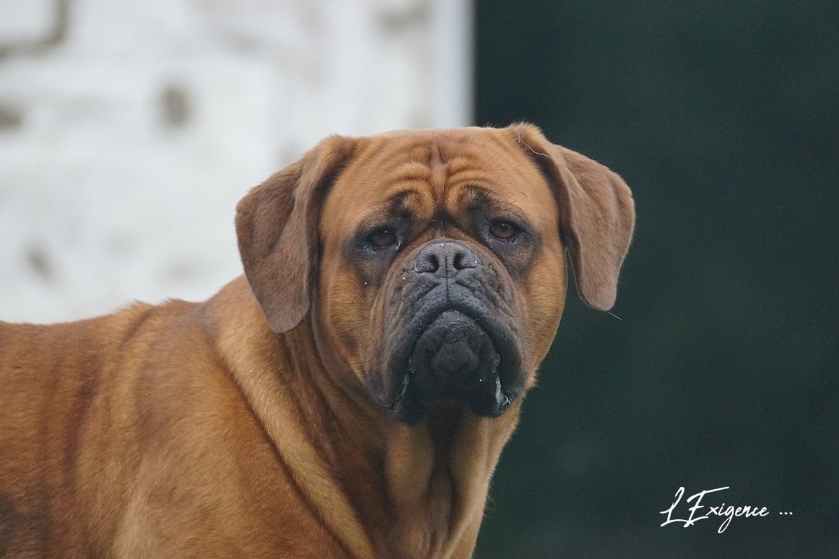 Publication : de l'exigence