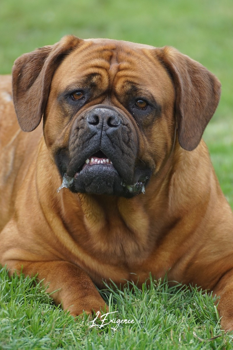 Publication : de l'exigence