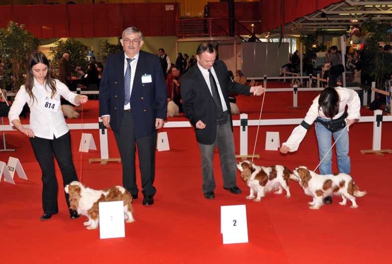 Belline D'ysatis - 1er EXC RCACS