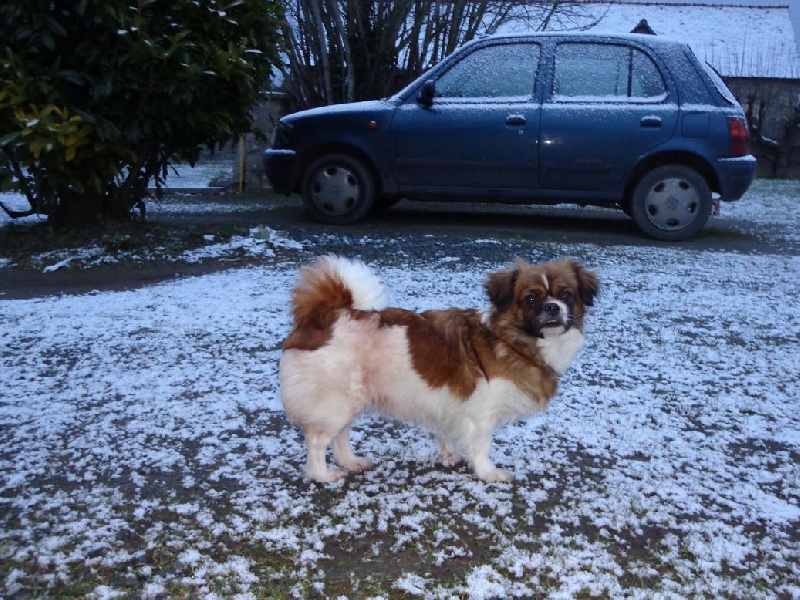 Publication : de la pommeraie du jet