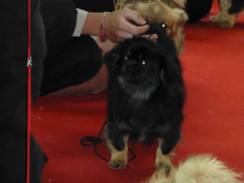 Publication : d'un Amour Ephemere