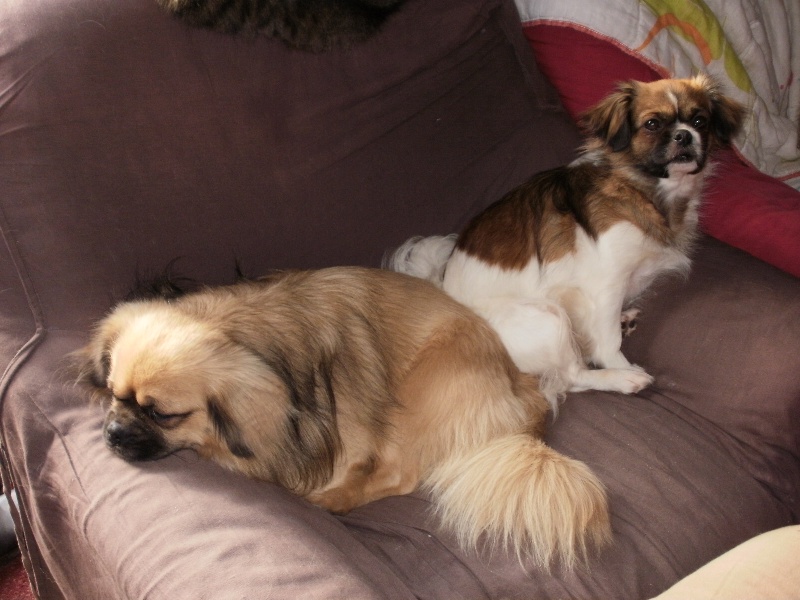 Publication : de la pommeraie du jet