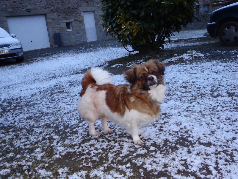 Publication : de la pommeraie du jet