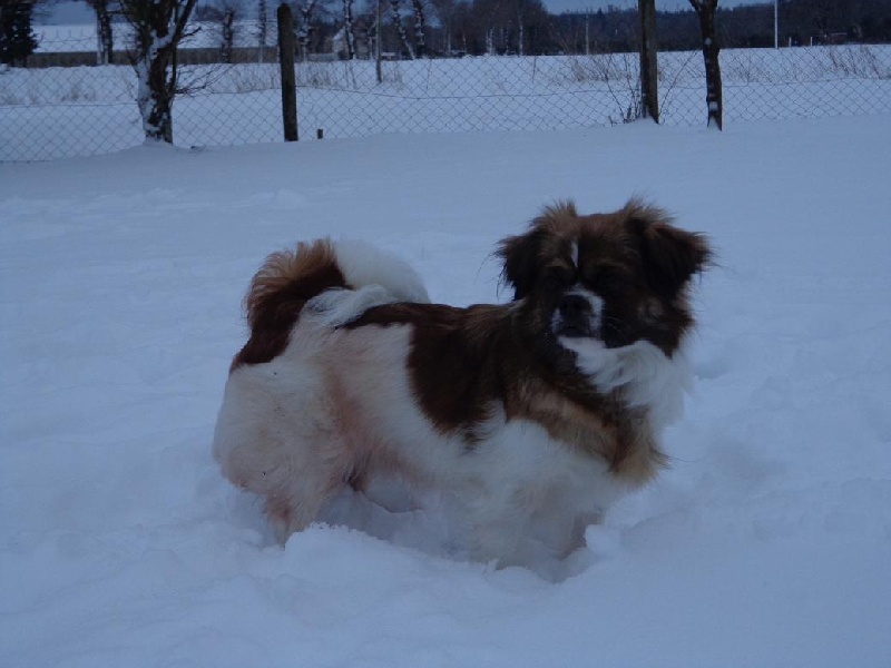 Publication : de la pommeraie du jet