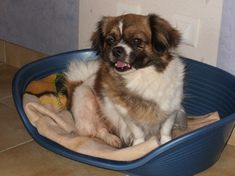 Publication : de la pommeraie du jet