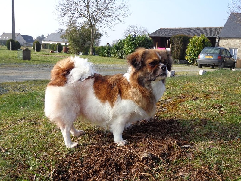 Publication : de la pommeraie du jet