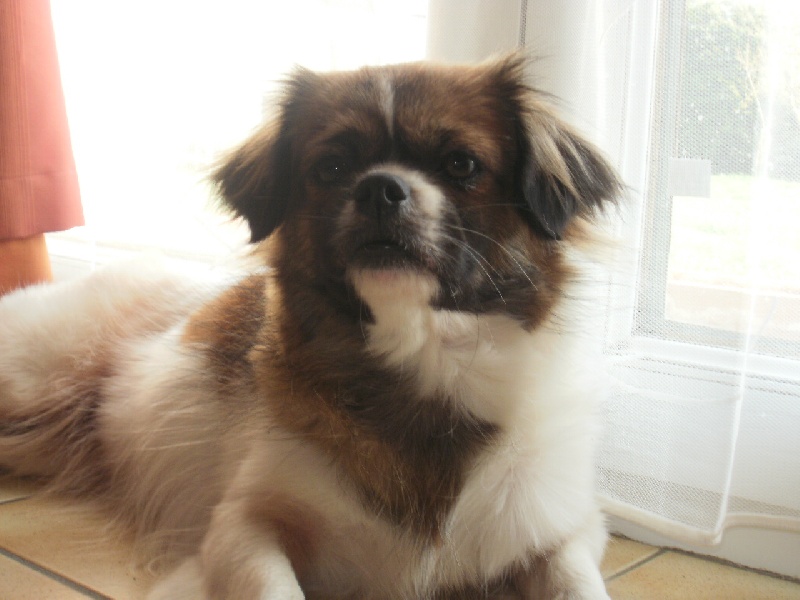 Publication : de la pommeraie du jet