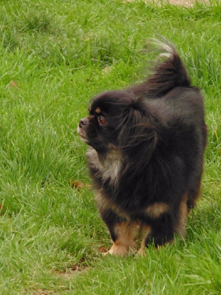 Publication : d'un Amour Ephemere